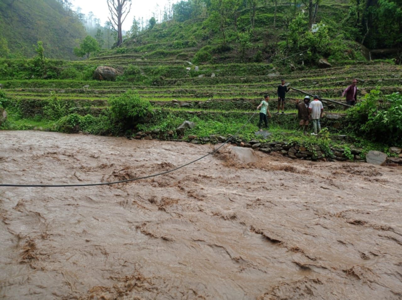 napekhola jajarkot (4).jpg